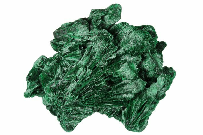 Silky, Fibrous Malachite Cluster - Congo #175334